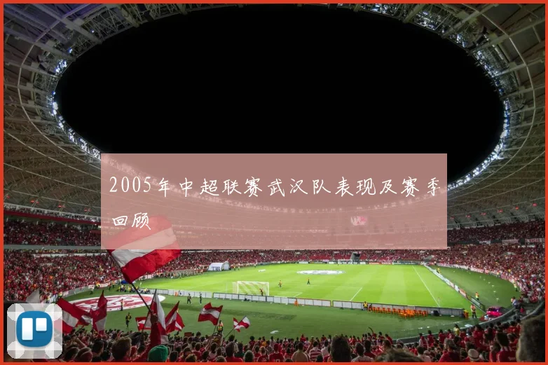 2005年中超联赛武汉队表现及赛季回顾