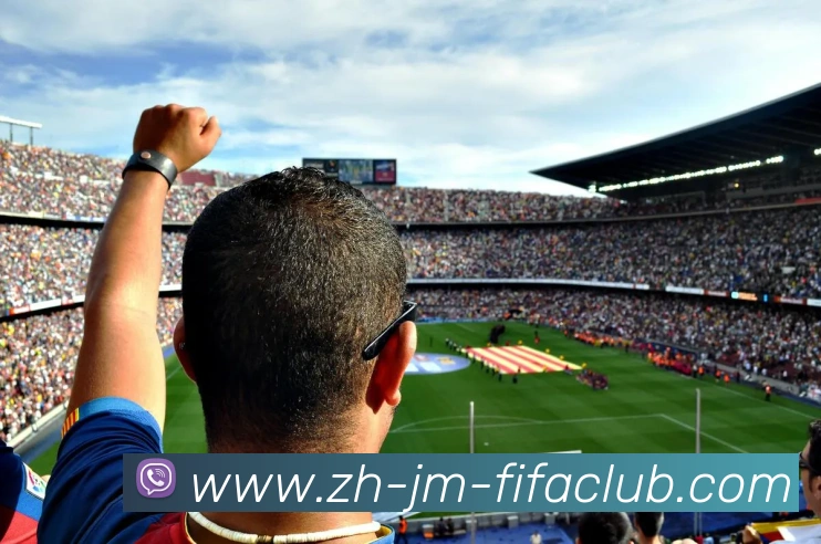 世界杯直播服务体系