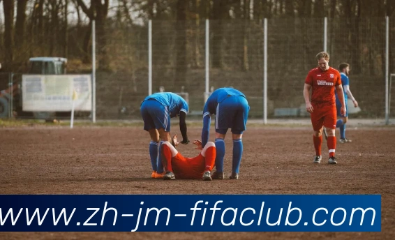 多媒体互动体验